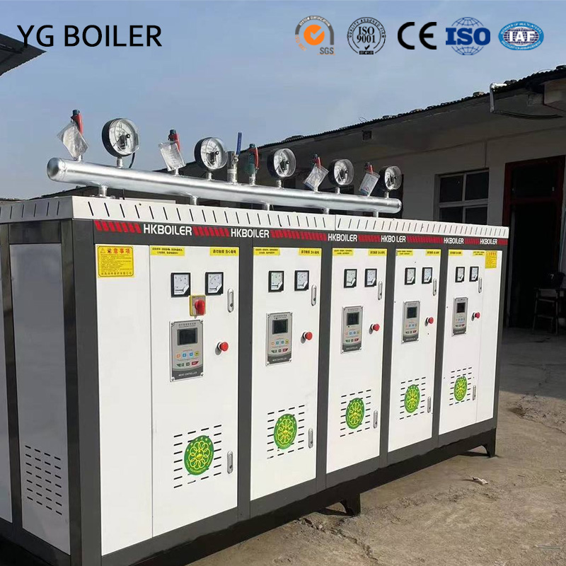 LDR Combustion Electric Steam Generator